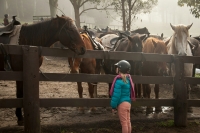 5 Tips voor de verzorging van je paard